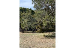 212 Cactus Corner, Horseshoe Bay, TX 78657