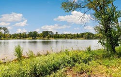Lot 40 Big Rock Lake Road, Hallsville, TX 75650