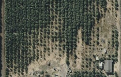 36189 Road 196, Woodlake, CA 93286