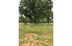 0000 Old Bethel Road, Graham, TX 76450