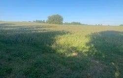 0000 Cedar Road, Stamping Ground, KY 40379