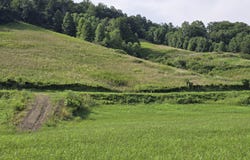 Caney Valley Lots 4, 5 & 6 Rd, Sneedville, TN 37869