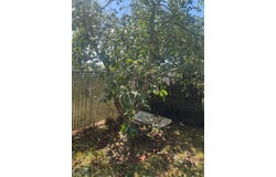 3831 Pacific Ave, Forest Grove, OR 97116