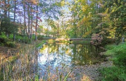 24 Beehive Lane, Corbin, KY 40701