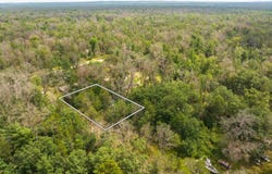 LOTS 8-14 ST LOUIS, IDLEWILD, MI 49642