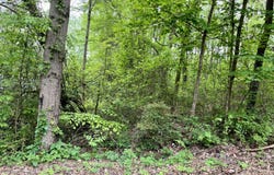 Lot 25 Omega Drive, Whitwell, TN 37397