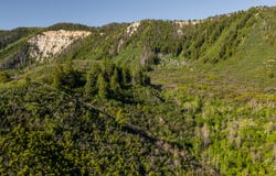 TBD Highway 13, Rifle, CO 81650