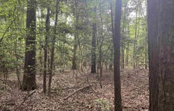 Rosston, AR 71858