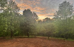 4855 Walnut Creek Road, Scottsville, KY 42164