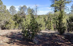 2316 Thunderbird Circle, Overgaard, AZ 85933