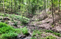 TR 51 Township Road, Warsaw, OH 43844