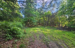 195 KNOTTY PINE ROAD, NEW BLOOMFIELD, PA 17068