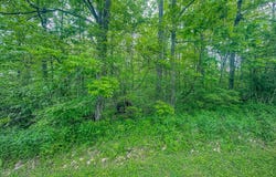 L1 State Highway 67, Johnstown, NY 12095