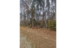 Norway Road, Neeses, SC 29107