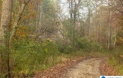 3000 ROBERTS MILL POND ROAD, PELL CITY, AL 35125