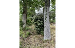 531 Homeland Avenue, Durham, NC 27707