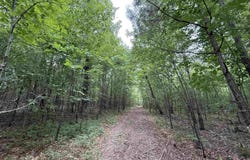 Hwy 9 County Road 92, Cedar Bluff, AL 35959
