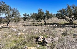 Lot 202 TBD Westridge Way, Big Creek Ranch, Kingsland, TX 78639