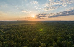 0 Taylor Mill Rd, Elba, AL 36323