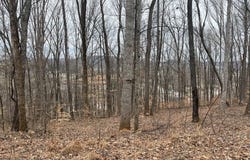 147 Chestnut Hill, LIVINGSTON, TN 38570