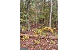 41 Foxfire, Cartersville, GA 30120