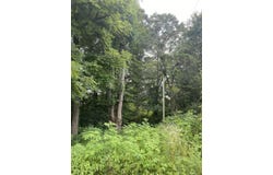 Lt 43 Huckleberry Drive, Science Hill, KY 42553