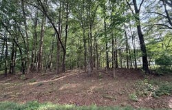 Skipwith Rd, Boydton, VA 23917