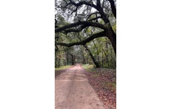 8455 Old Georgetown Road, McClellanville, SC 29458