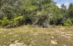 Tbd Lot 49 MALAUKA RADIAL, OCKLAWAHA, FL 32179