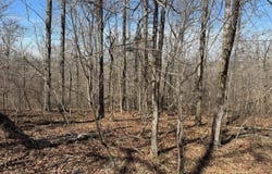 Kimbrough Road, Lexington, MS 39095
