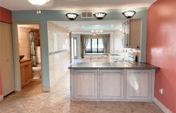 1849 ABRICO Drive, LUTZ, FL 33558