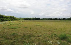 Tbd FM-272, Leonard, TX 75452