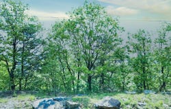 0 Hwy- 157, Menlo, GA 30731