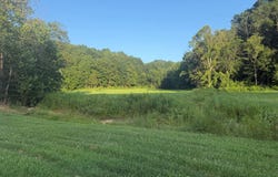 1580 Bombshell Creek Road, Burkesville, KY 42717