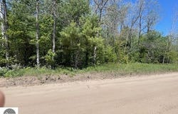 Aylsworth Road, Beulah, MI 49617