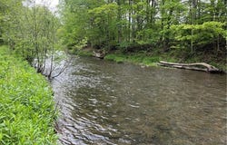 1217 County Highway 34, Westford, NY 12155