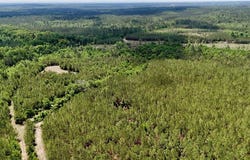 Neily Wagon Road, GA 31037