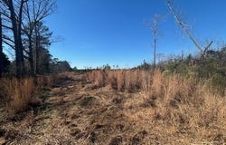 Robert Jones Road, Summit, MS 39666