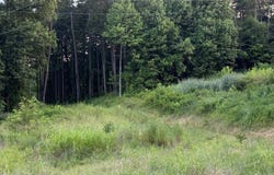 0 Switzer Road, Tell City, IN 47586