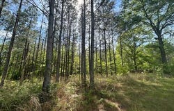 Mount Zion Lane, Sontag, MS 39665