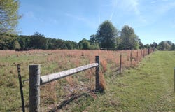 25630 Mississippi 18, Utica, MS 39175