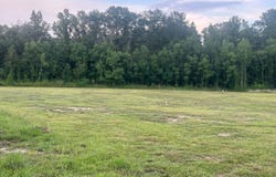 13052 Capace Rd, Independence, LA 70443