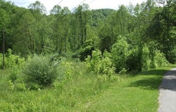0 Little Elk Hode Road, (D 38 P 137 & D 48 P 341), Warfield, KY 41267