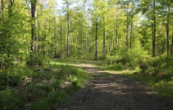 Konsella Road, Gilman, WI 54433