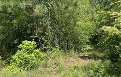 0 Rocky Mount, Greenville, GA 30222