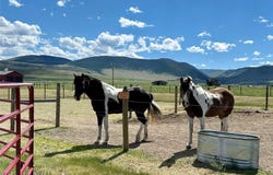 172 Hayfield Loop, Ennis, MT 59729