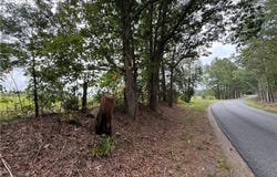 Hewlett Road, Beaverdam, VA 23015