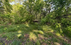 Nottingham Drive lot: 32, Bella Vista, AR 72715