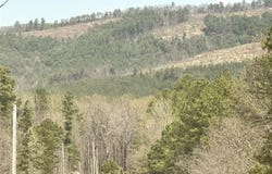 HWY 144, Smithville, OK 74957
