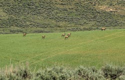 TBD County Road 29, Craig, CO 81625